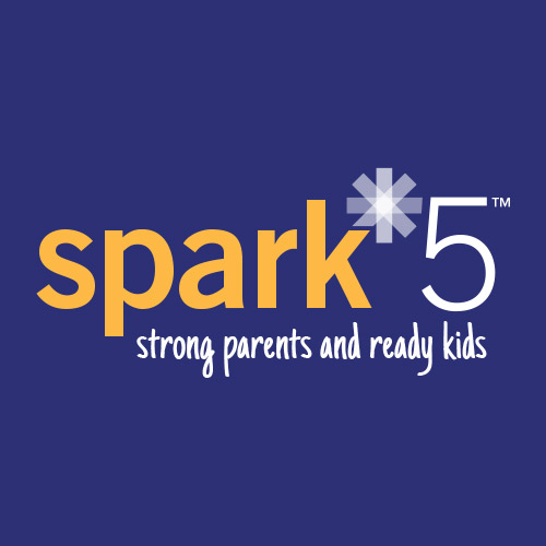 Fighting for Strong Futures: spark*5's Pilot Year